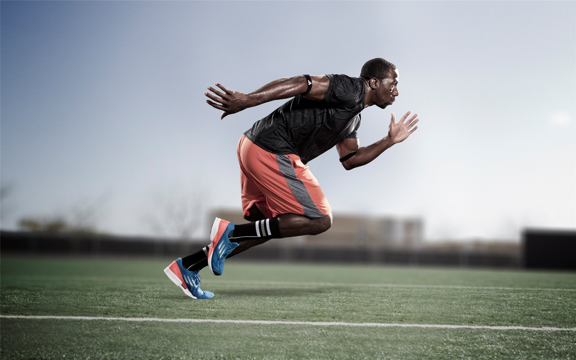 “南非羚羊队的坚固堡垒：埃尔斯·霍斯特的卓越表现”